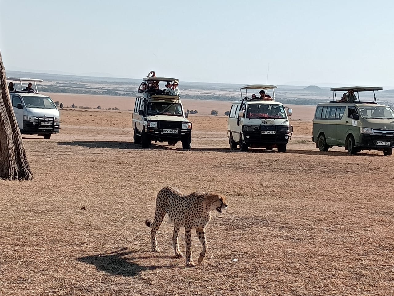 Corporate Events Safaris in Kenya